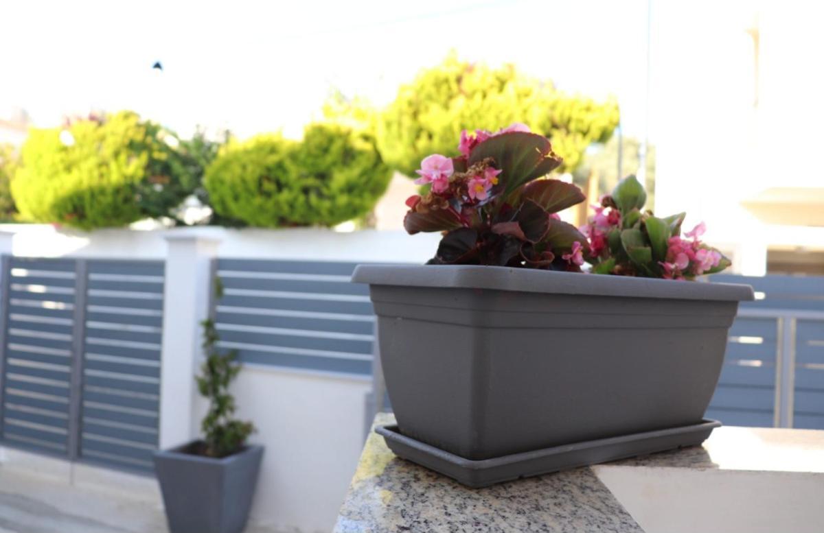 Fiosal Apartments 1 Skiathos Town Ngoại thất bức ảnh